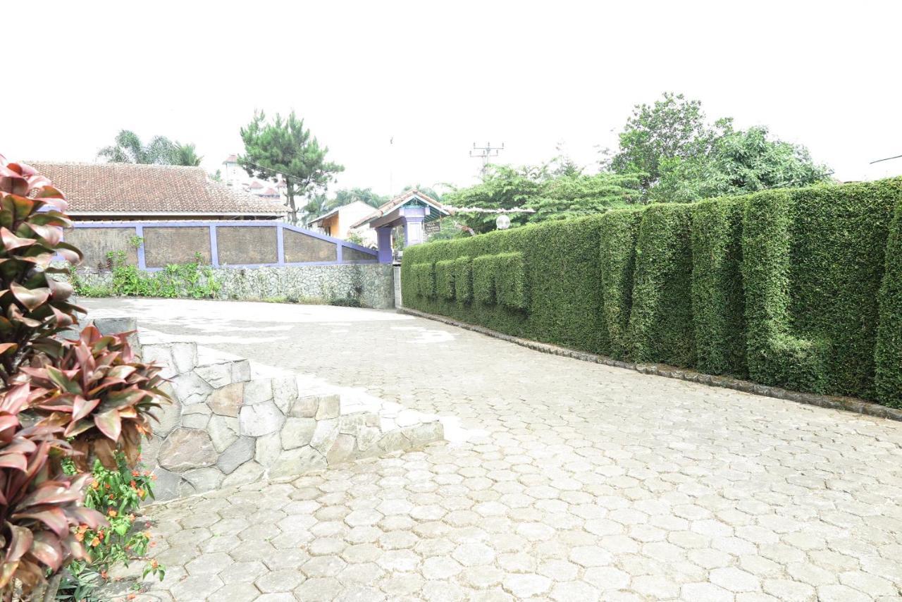 Villa Tiandiva チサルア エクステリア 写真